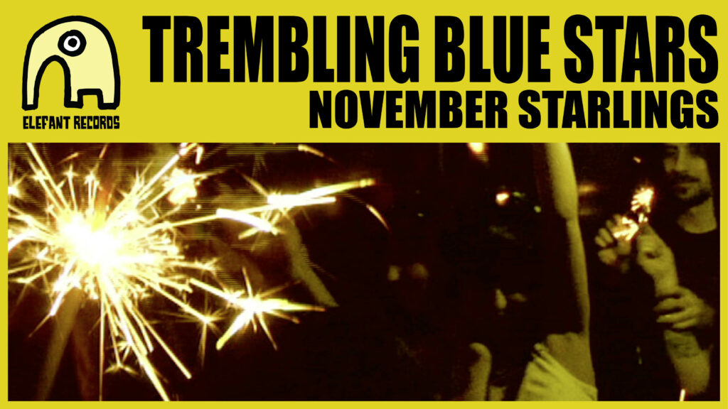 Imagen destacada de video: November Starlings [Video-Clip]